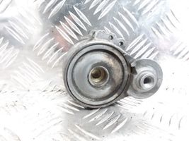 Citroen C5 Napinacz paska alternatora 