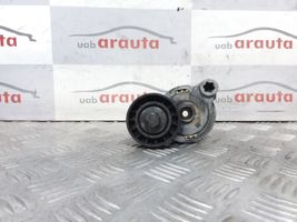 Volvo XC60 Napinacz paska alternatora 31330379