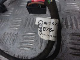 Audi A6 S6 C6 4F Rear door wiring loom 4F1971687S