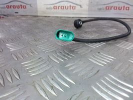 Audi Q3 8U Klopfsensor 06E905377A