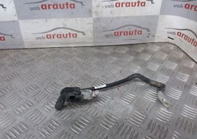 Audi Q3 8U Minusinis laidas (akumuliatoriaus) 8651831367