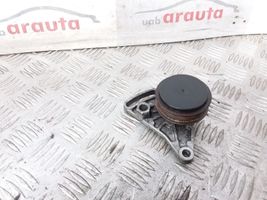 Audi A4 S4 B5 8D Napinacz paska klimatyzacji 058260511