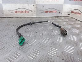 Peugeot 307 Sonde lambda 0258006027