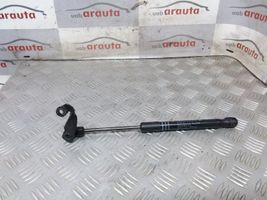 BMW M5 Front bonnet/hood damper/strut 51237309117