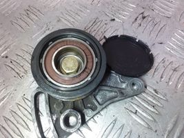 Audi A4 S4 B5 8D Napinacz paska klimatyzacji 058260511