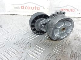 Volvo S40 Tendicinghia generatore/alternatore 530615