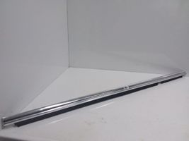 BMW 5 E28 Altro elemento di rivestimento della portiera posteriore 