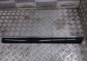 Mercedes-Benz S W220 Rivestimento portiera posteriore (modanatura) A2206900762