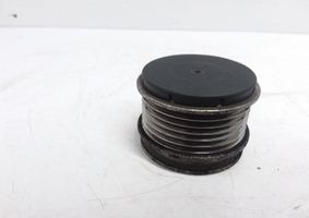 Volkswagen PASSAT B6 Alternator pulley W062809