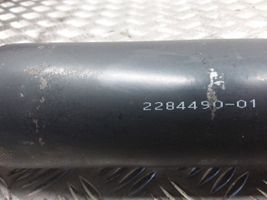 BMW M5 Drive shaft (set) 2284490