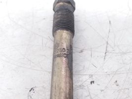 Citroen Xsara Picasso Glow plug 0250202032