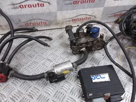 Ford Galaxy Equipo completo de gas GLP 67R014313