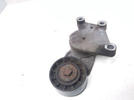 Peugeot 1007 Tendicinghia generatore/alternatore 