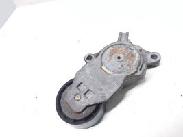 Peugeot 1007 Tendicinghia generatore/alternatore 