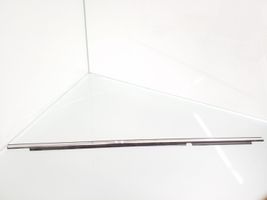 Toyota Avensis T270 Galinė sandarinimo guma (prie stiklo) 