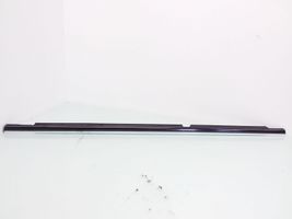 Mercedes-Benz C W203 Rubber seal rear door window/glass 