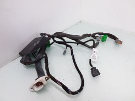 Volvo S60 Cablaggio porta anteriore D8697909001