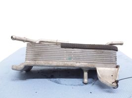 Mercedes-Benz CLK A209 C209 Fuel cooler (radiator) 