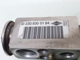 Mercedes-Benz E W211 Válvula de expansión del aire acondicionado (A/C) 2308300184