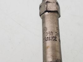 Opel Zafira B Glow plug 0250202132