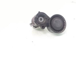 Skoda Fabia Mk2 (5J) Napinacz paska alternatora 03D903305G