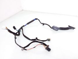 KIA Sorento Faisceau de câblage de porte arrière 918203E011