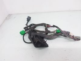 Volvo S60 Cableado de puerta delantera D8690290001