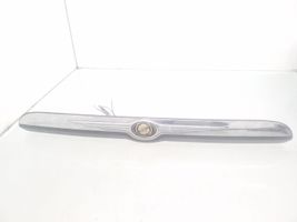 Chrysler Voyager Tailgate trim 04894019A