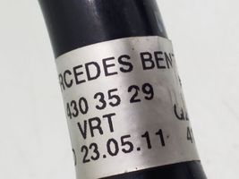Mercedes-Benz E A207 Linea/tubo/manicotto del vuoto A2044303529