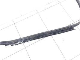 Mercedes-Benz E A207 Front door rubber seal A2076920476