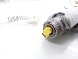 Honda Accord Airbag de toit 6096902