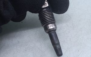 Volkswagen Transporter - Caravelle T4 Glow plug 0250201051