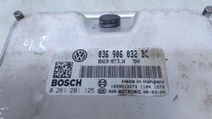 Volkswagen Caddy Calculateur moteur ECU 036906032BC