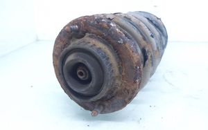 Volkswagen PASSAT B5 Front shock absorber with coil spring 3B0413031A