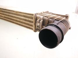 Seat Alhambra (Mk1) Radiatore intercooler 7M0145805