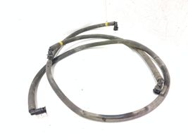 Volkswagen PASSAT B6 Windshield washer fluid hose 3C0955970