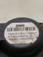 Ford Fiesta EGR vārsts 9685640480