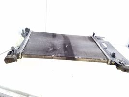 Fiat Punto (188) Radiador del refrigerante 55700447