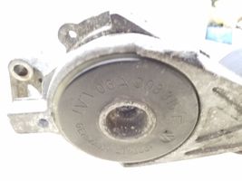 Audi A3 S3 A3 Sportback 8P Napinacz paska wielorowkowego / Alternatora 06A903315F