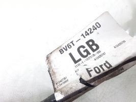 Ford Focus Cableado de puerta trasera BV6T14240