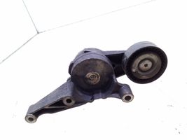 Volkswagen Touran I Napinacz paska wielorowkowego / Alternatora 03G903315C