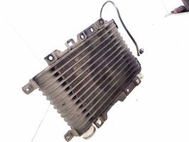 Mitsubishi Pajero Chłodnica powietrza doładowującego / Intercooler 1271000290