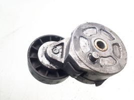 Citroen C5 Tendicinghia generatore/alternatore 