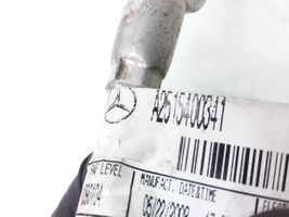 Mercedes-Benz R W251 Pluskaapeli (akku) A2515400341