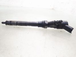 Citroen C5 Iniettore 0445110036