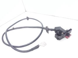 Volkswagen Touareg I Positive wiring loom 7L0937401