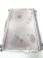 Hyundai Santa Fe Radiateur de refroidissement 2531026480