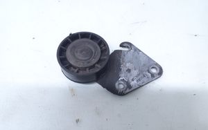 Peugeot 406 Napinacz paska alternatora 9622234180