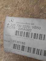 Mercedes-Benz S W220 Boczki / Poszycie drzwi tylnych A2207302270