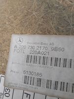 Mercedes-Benz S W220 Rear door card panel trim A2207302170
